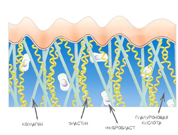 Crème de remplissage - qu'est-ce que c'est, comment l'appliquer, Libriderm de remplissage pour les rides profondes. Commentaires