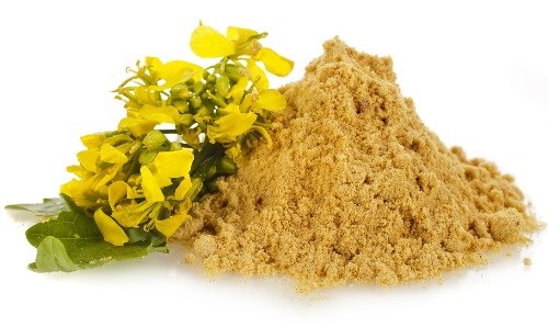 เราถอดหูออกจากด้านข้างอย่างรวดเร็วที่สะโพกที่บ้านและในโรงยิม