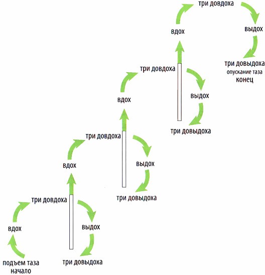 Qu'est-ce que Bodyflex, les avantages de la gymnastique pour perdre du poids. Vidéos d'exercices, critiques et résultats