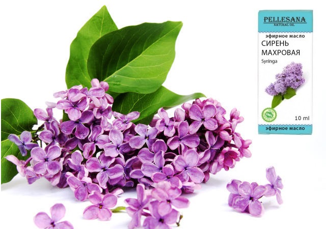 ทำไมผิวหนังที่มือจึงแตกใกล้เล็บถึงเป็นเลือด สาเหตุและการรักษาด้วยยาและการเยียวยาชาวบ้าน