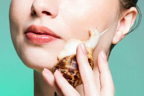 Mucine d'escargot en cosmétologie.Propriétés utiles, comment utiliser le mucus africain Achatina à la maison, photos, avis