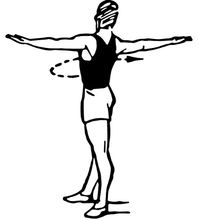 Exercices d'isolement pour les fesses et les jambes pour les filles. Exemples de performances au gymnase, à la maison