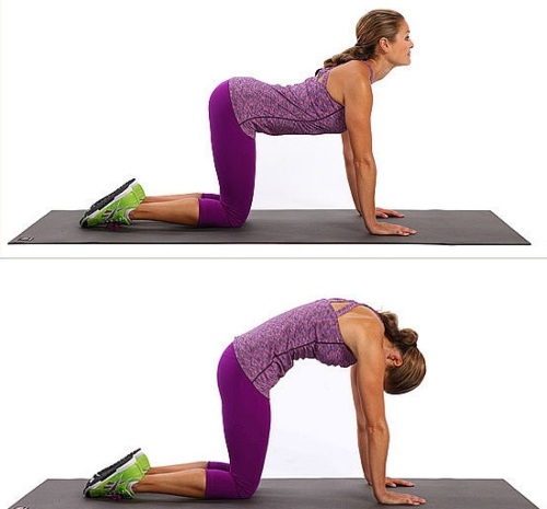 วิธีปั๊มหลังที่บ้านและในยิมสำหรับเด็กผู้หญิง ออกกำลังกายด้วยบาร์เบลดัมเบลบนบาร์แนวนอนและไม่มีน้ำหนักของคุณเอง