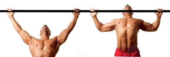 Comment pomper à la maison. Programme de formation pour filles et hommes sur la barre horizontale, à l'aide d'haltères, sans fer ni simulateurs