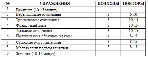 Comment pomper à la maison. Programme de formation pour filles et hommes sur la barre horizontale, à l'aide d'haltères, sans fer ni simulateurs