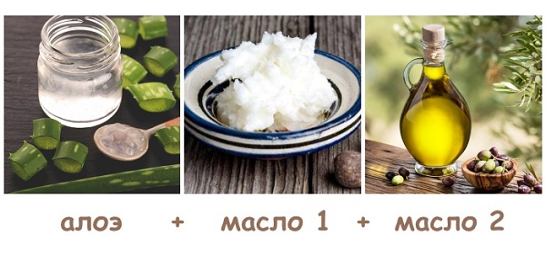 Masques pour le visage à l'aloès Recettes anti-âge pour l'acné, les rides, les points noirs et la peau jeune