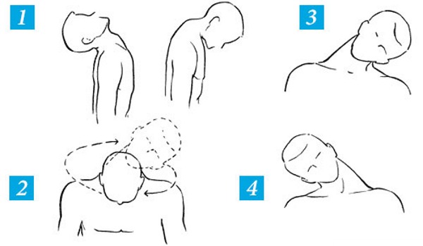 Programme d'entraînement quotidien pour les filles à la maison et au gymnase. Un ensemble d'exercices pour perdre du poids et prendre du poids