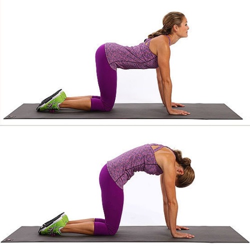 Stretching pour les débutants à la maison avant, après l'entraînement, pour le dos, les fentes, tout le corps