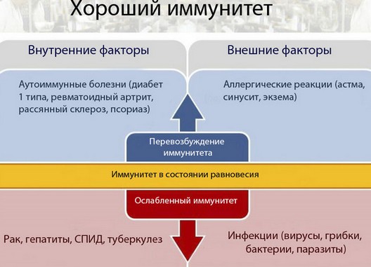 Multivitamines pour femmes après 30, 40, 50, 60 ans, enceintes, allaitantes. Ce qui est mieux, comment choisir peu coûteux et efficace.Liste des titres, critiques