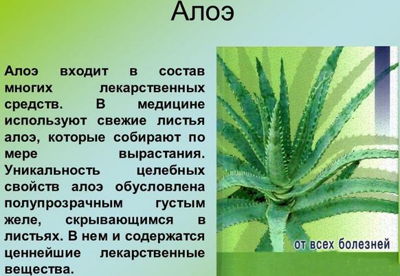 Les raisons pour lesquelles les lèvres sèchent chez les femmes, les hommes. Comment traiter le rhume, le SRAS, la ménopause, le diabète, l'oncologie, pendant la grossesse