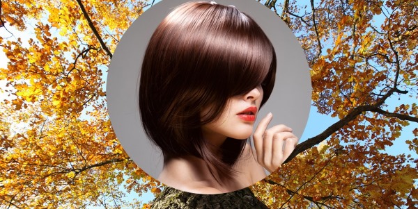 Écorce de chêne pour les cheveux. Avantages, comment utiliser pour le rinçage de la perte, les taches. Commentaires