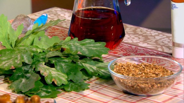 Écorce de chêne pour les cheveux. Avantages, comment utiliser pour le rinçage de la perte, les taches. Commentaires