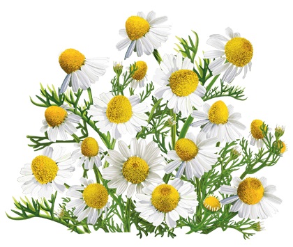 Acide salicylique pour l'acné. Recettes, instructions pour utiliser des orateurs, des onguents, une solution d'alcool