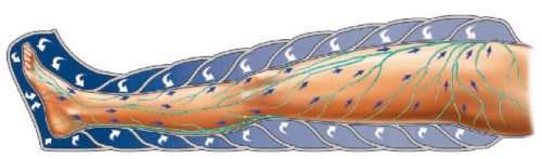 Pressotherapy - มันคืออะไรข้อบ่งชี้ข้อห้ามอุปกรณ์สำหรับการกดที่บ้าน ความคิดเห็นก่อนและหลังภาพถ่าย