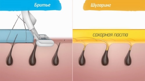 Pâte à sucre pour sucrer. Recette à la maison. Lequel est préférable d'acheter: Gloria, Arabia, Oasis, Start Epil, Saona. Comment utiliser