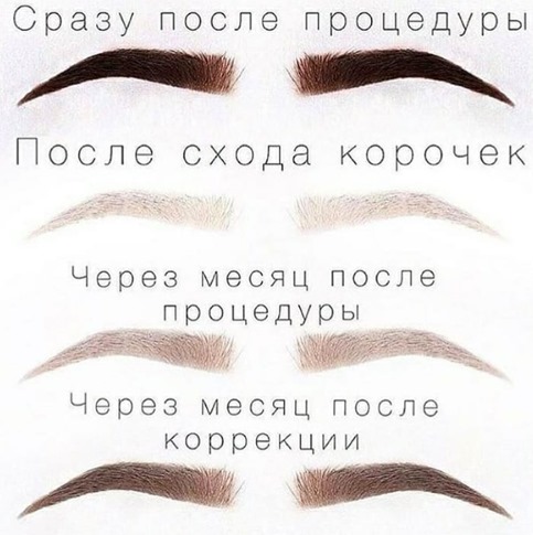 Époussetage des sourcils. Qu'est-ce que c'est, poudré, nano, tatouage, maquillage permanent, pixel, velours, matériel