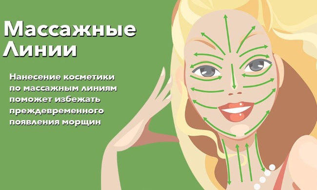 กายวิภาคศาสตร์ใบหน้าสำหรับแพทย์ด้านความงาม กล้ามเนื้อ, เส้นประสาท, ผิวหนังแบ่งชั้น, เอ็น, ก้อนไขมัน, การปกคลุมด้วยเส้น, กะโหลกศีรษะ แบบแผนคำอธิบาย