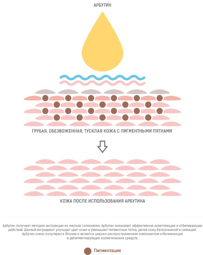 Arbutine. À quoi ça sert dans les cosmétiques. Crèmes, masques pour les taches de vieillesse, propriétés, application en gynécologie