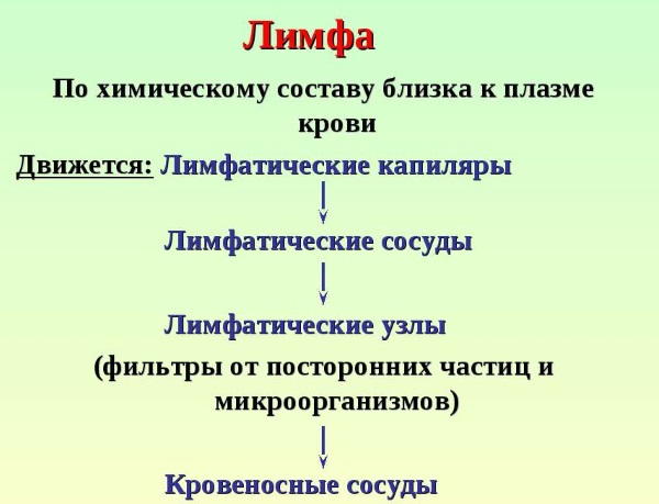 Massage manuel de drainage lymphatique. Avantages, comment faire comme chez soi