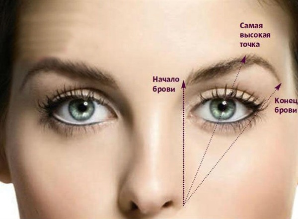 Comment façonner correctement les sourcils avec un crayon, de la peinture, du henné. Photos, instructions à la maison