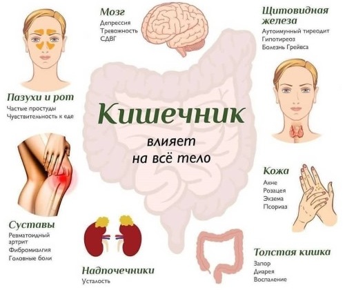 Comment retirer rapidement le bas de l'abdomen chez la femme. Exercice, enveloppements, régime