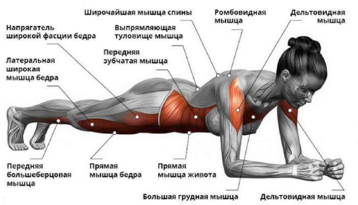 Comment retirer rapidement le bas de l'abdomen chez la femme. Exercice, enveloppements, régime