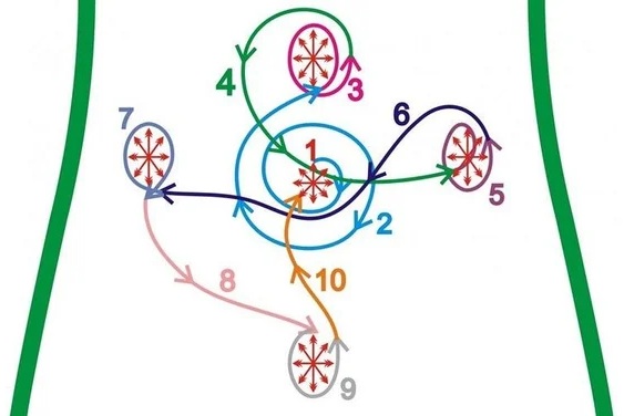Comment faire un massage pour amincir l'abdomen et les côtés: vide, chinois, anti-cellulite viscérale, drainage lymphatique