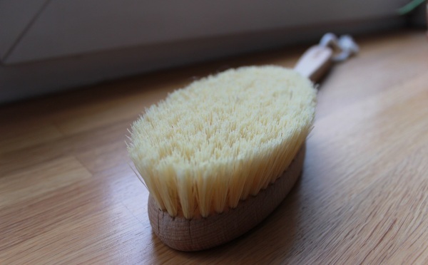 Brosse de massage à sec aux poils naturels, cactus, anti-cellulite. Prix et avis