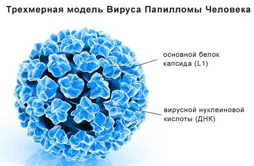 Papillomes sur le corps chez les femmes. Causes et traitement, comment se débarrasser des remèdes populaires