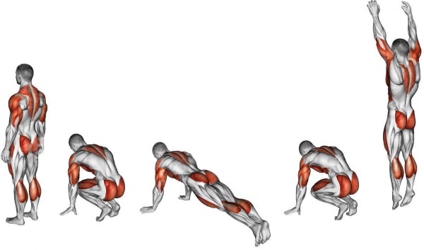 Entraînements pour brûler les graisses pour les filles. Techniques et complexes efficaces pour les débutants à la maison