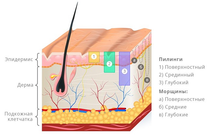 Peeling visage corail. Qu'est-ce que c'est, photos avant et après, résultats
