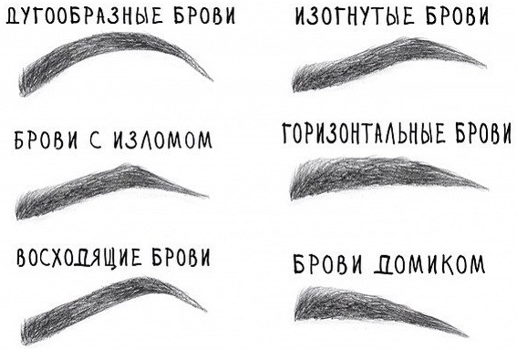 De beaux sourcils. Tendances mode 2020: microblading, biotattoo, poudreux, stratification, coloration et construction, ombrage