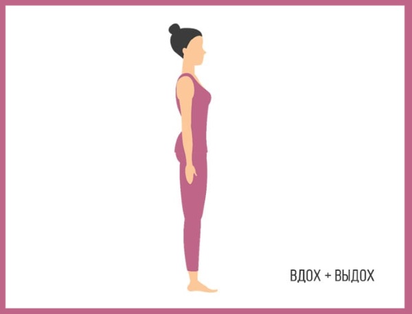 Sun Salutation est un ensemble d'exercices pour les débutants. Les bienfaits du yoga, comment faire