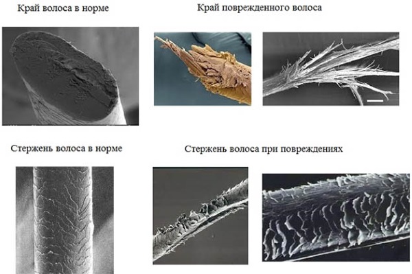 Produits de protection thermique des cheveux pour le coiffage et la restauration. Prix et avis des meilleurs