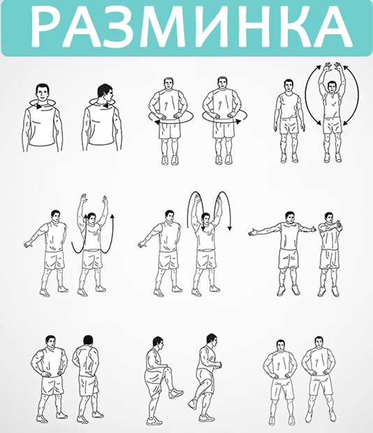 Exercices pour biceps avec et sans haltères, sur une barre horizontale, avec une barre pour les filles. Programme à domicile