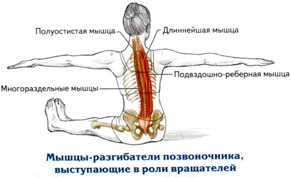 Cours en salle de sport pour les filles débutantes sans entraîneur de perte de poids. Des exercices