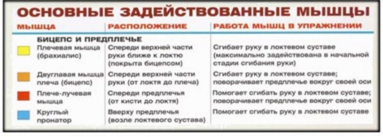 Banc de Scott pour les biceps. Exercices, technique avec haltères, haltères