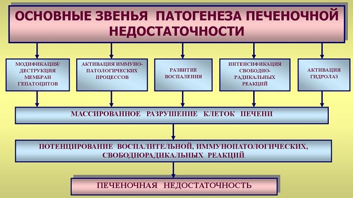 Pilules amaigrissantes Bisacodyl (Bisacodyl). Mode d'emploi, prix, avis
