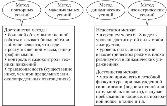 Force en éducation physique. Qu'est-ce que c'est, types, absolu, relatif, développement