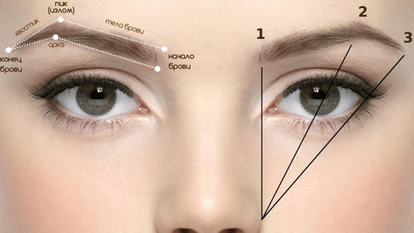 Types de sourcils chez les filles. Photos, titres, correction, tatouage